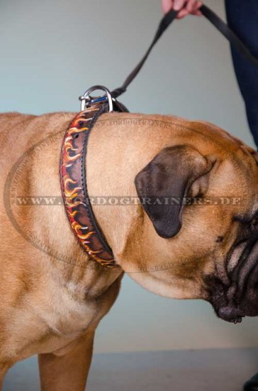 Bullmastiff Hundehalsband Exklusiv