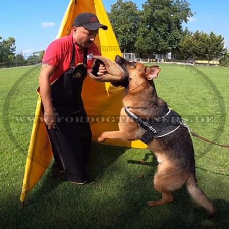 Traditional apron leather for dog training