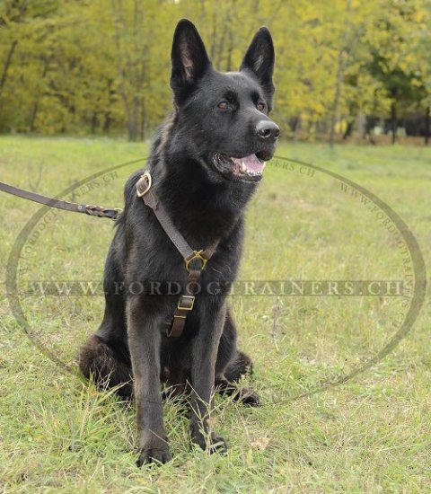 Das Geschirr, von Hand gefertigtes für Deutschen Schäferhund