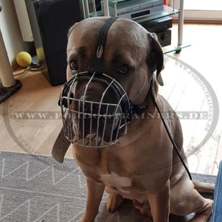 Wire Basket Dog Muzzle for Cane Corso