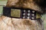 Edles Halsband für Malinois mit Schildern, Spikes und Pyramiden