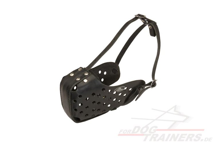 Leather police dog muzzle for Trainings buy