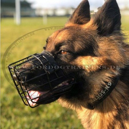 Wire dog muzzle for German Shepherd, covered by black ruber