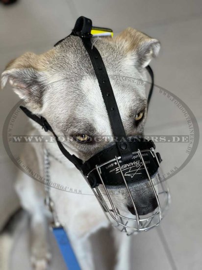 Wire Cage Muzzle for large breeds buy | Wire Dog Muzzle