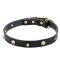 Studded Collar with Brass Skulls and Spikes