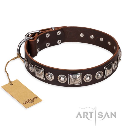 Exklusiv genietetes Hundehalsband von FDT Artisan