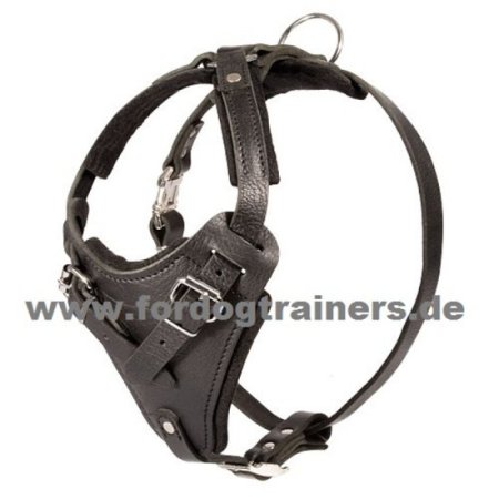 Leather Dog Harness for Schutzhund and Attack