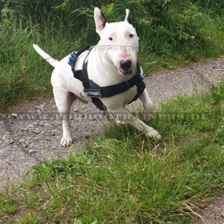 Allwetter-Hundegeschirr aus Nylon für Bullterrier