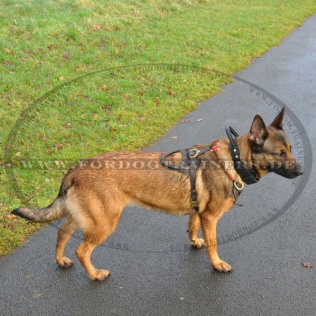 Comfortable training collar from leather with grip