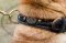 Shar Pei Royal Halsband mit Nappa | Hundehalsband aus Leder