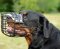 Wire Dog Muzzle for Rottweiler | Cage Muzzle Winter