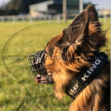 Wire dog muzzle for German Shepherd, covered by black ruber