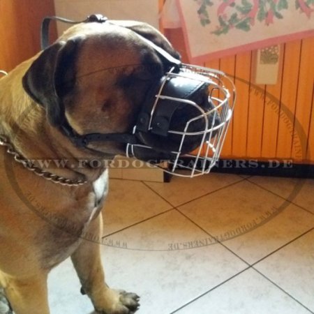 Bullmastiff Wire Basket dog muzzle M4