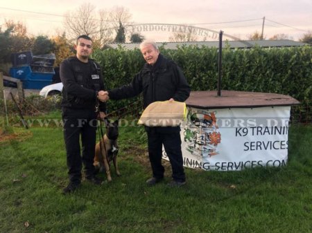 Hetzarm aus Jute für junge und erwachsene Hunde-Trainings