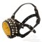 Designer Dog Muzzle for large Dogs with Bolts and Studs