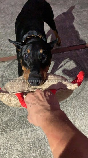 Bestseller Dog Bite Pad made of Jute with 3 handles
