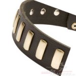 Breites Hundehalsband aus Leder mit feinen Messingplatten