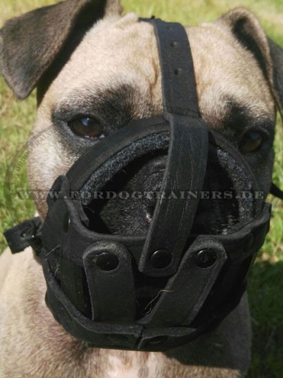 Muzzle French Bulldog Super Lightweight