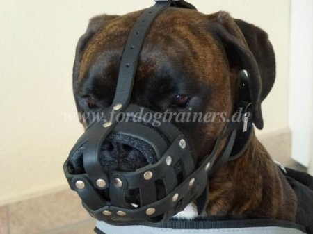 Leather Muzzle with Super Ventilation order