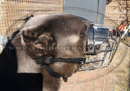 Wire Basket Dog Muzzle for Cane Corso