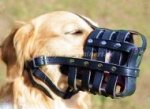 Hundemaulkorb aus Leder für Labrador - der Leichteste Beißkorb