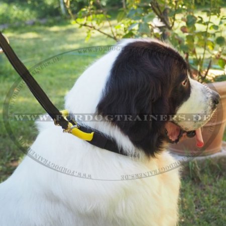 Hundehalsband aus Nylon mit Griff und Schnellverschluss