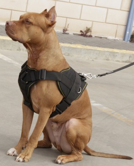 k9 Nylon Dog Harness for Pit Bull