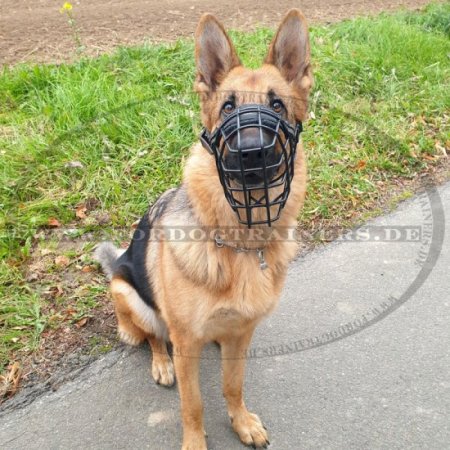 Wire dog muzzle for German Shepherd, covered by black ruber