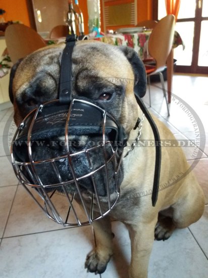 Bullmastiff Wire Basket dog muzzle M4