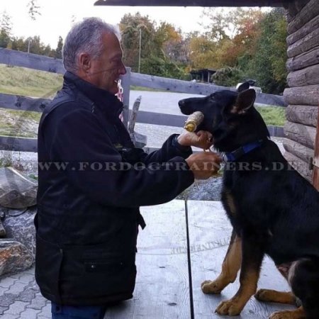 Bestseller Jute Bringsel für Hundetraining NEUHEIT!