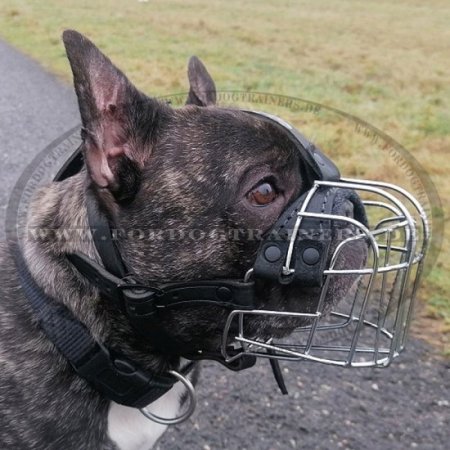 French Bulldog Wire Basket Dog Muzzle for small dog breeds