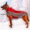 Dog Clothes Nylon for Malinois