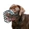 Wire dog muzzle for Labrador Covered by black rubber