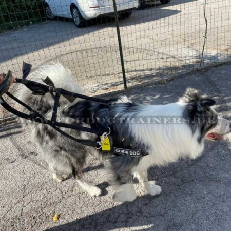 Führhundegeschirr | Nylonhundegeschirr für Blindenhunde