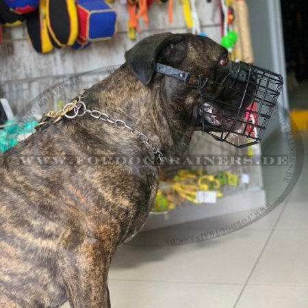 Draht Maulkorb für Bullmastiff, fallen durch schwarze rube