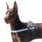 Dobermann Reflektierendes Hundegeschirr Nylon