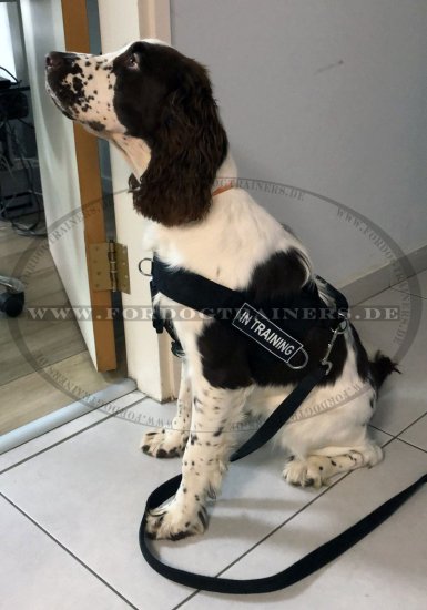 Bestseller ID Geschirr aus Nylon für Spaniel mit Klettlogo