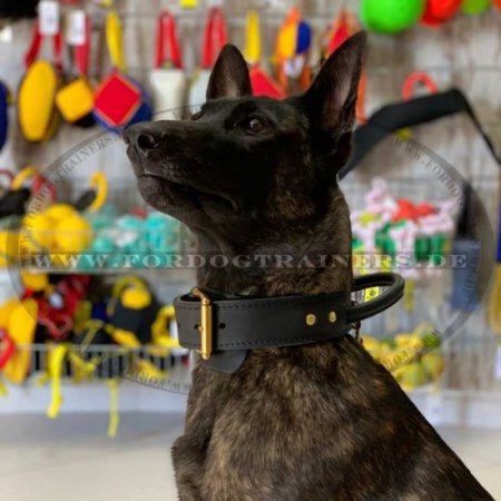 Hetz-Hundehalsband aus Leder mit Griff für Malinois