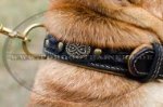 Shar Pei Royal Halsband mit Nappa | Hundehalsband aus Leder