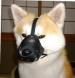 Hundemaulkorb Leder für Akita | Gepolsterter Alltagsmaulkorb❢