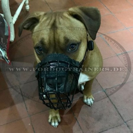 Winter Cage Dog Muzzle for Bullterrier 2023