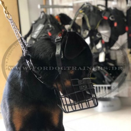 Wire Dog Muzzle for Rottweiler | Cage Muzzle Winter