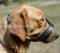 Nappa Padded Dog Muzzle for Labrador Anti Barking