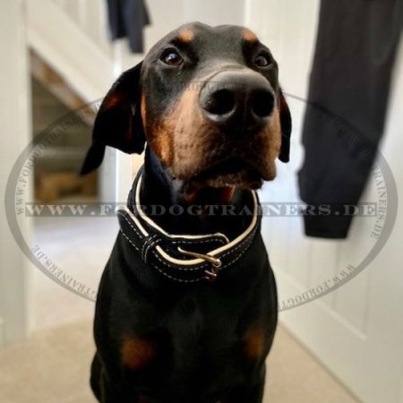 Neu Gepolsterter Hundehalsband aus Leder fuer Dobermann