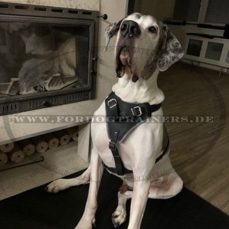 Protection,Attack Leather Dog Harness K9 for Great Dane