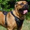 Cane Corso Harness for Sport and Agitation