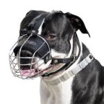 Bestseller Maulkorb aus Draht für Amstaff kaufen - Beste Hunde Maulkörbe