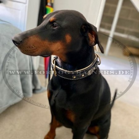 Neu Gepolsterter Hundehalsband aus Leder fuer Dobermann