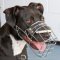 Best Pitbull High Quality Muzzle from Wire