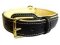 Perfect Nappa Padded Leather Dog Collar for Great Dane